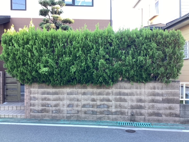 さくらエステート 大牟田店の生垣からフェンスにしてスッキリです。の施工前の写真1